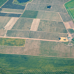 Ақтөбеде 1,9 гектар пайдаланылмаған жер телімі мемлекет меншігіне қайтарылды