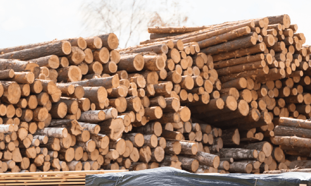 Деревообрабатывающий завод построят в Северо-Казахстанской области