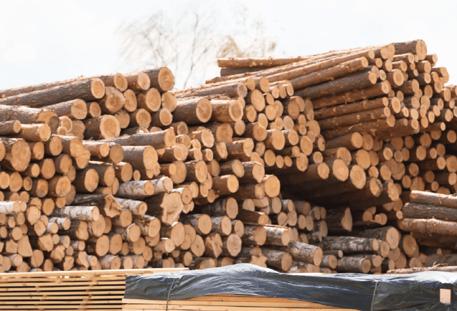 Деревообрабатывающий завод построят в Северо-Казахстанской области