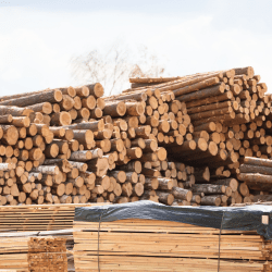 Деревообрабатывающий завод построят в Северо-Казахстанской области