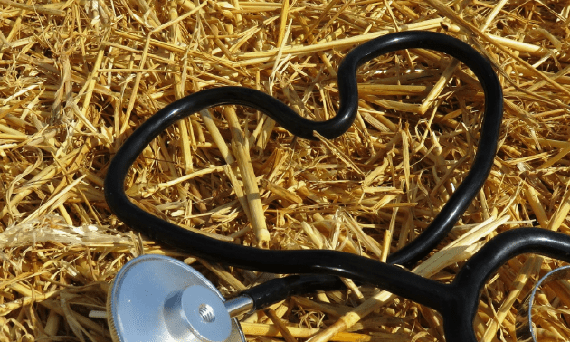 На бесплатную форму и льготы ветеринарам в РК планируют выделять 27 млрд тенге в год