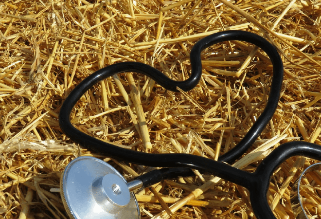 На бесплатную форму и льготы ветеринарам в РК планируют выделять 27 млрд тенге в год