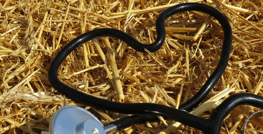 На бесплатную форму и льготы ветеринарам в РК планируют выделять 27 млрд тенге в год