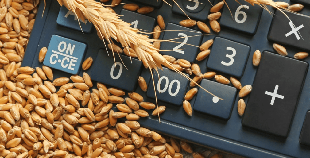 Астық пен ұн экспорты 9,9 млн тоннаға жетті 