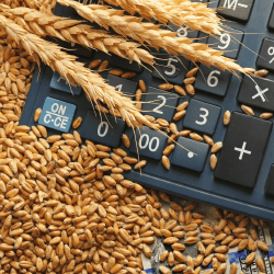 Астық пен ұн экспорты 9,9 млн тоннаға жетті 