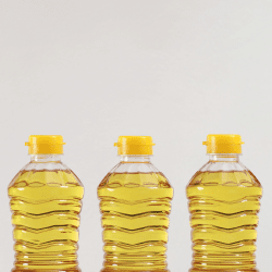 Түрік агрохолдингі Солтүстік Қазақстанда май шығаратын зауыт салады