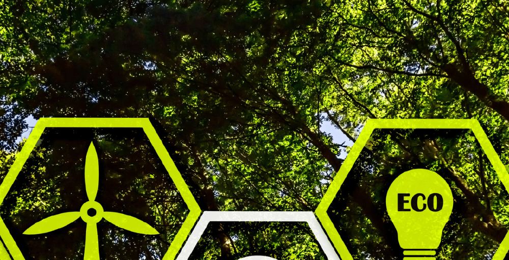 Сенат энергияны Еуропаға экспорттауға арналған құжатты мақұлдады 