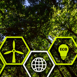 Сенат энергияны Еуропаға экспорттауға арналған құжатты мақұлдады