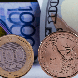 Елде валюталық операцияларға бақылау күшейеді