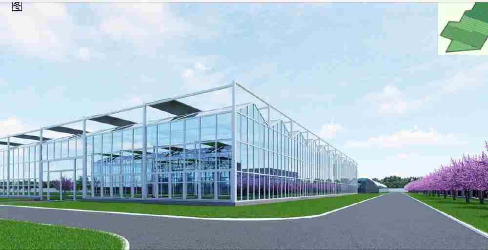 Первый в ЦА аграрный технопарк построят в Северном Казахстане