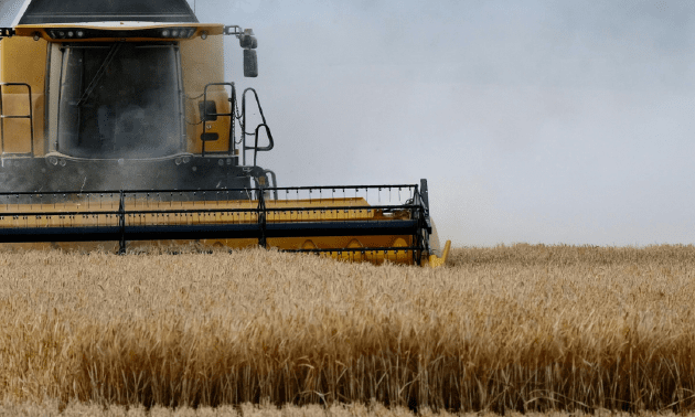 Названы регионы-лидеры Казахстана по запасам зерна