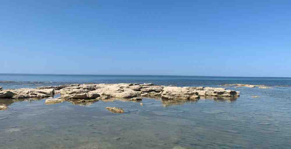 Каспий теңізіне қатысты экологиялық жобаға миллиондаған доллар бөлінеді 