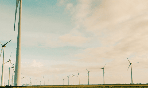 Инвесторы заинтересовались энергетическим потенциалом Кызылординской области