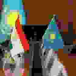 Қазақстан мен Тәжікстан әскери және экономикалық ынтымақтастықты кеңейтеді