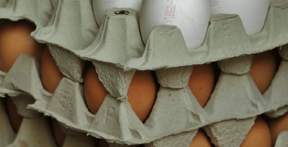 Импорт яиц в Казахстан временно приостановлен