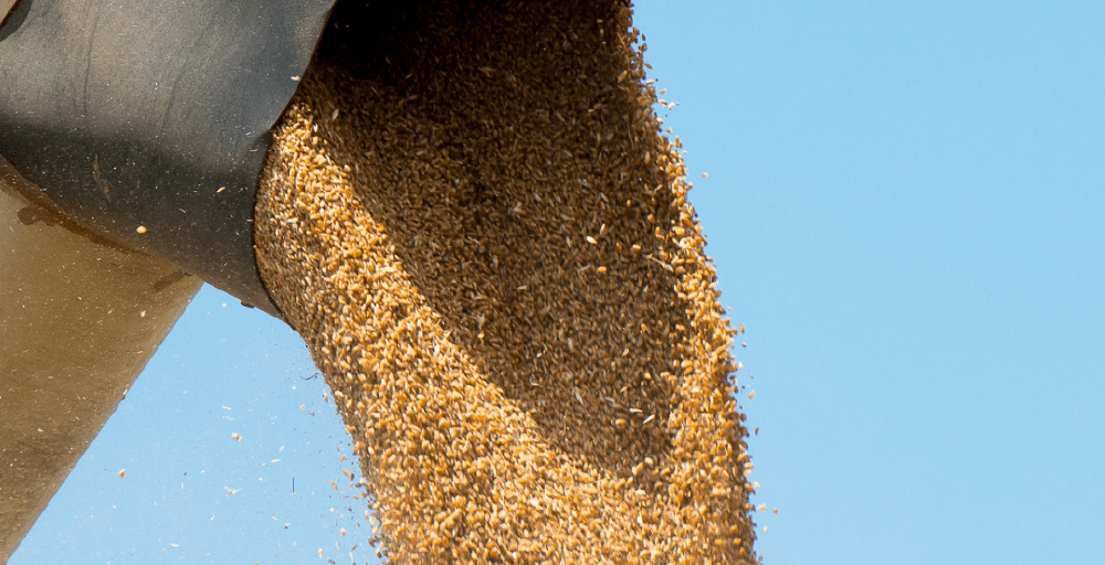 Ақмола облысында 300 млрд теңгеге астықты терең өңдеу зауыты салынады 