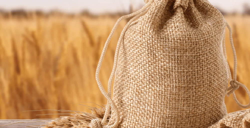 Қазақстан Грузияға 15,3 млн тонна астық экспорттады  