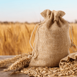 Қазақстан Грузияға 15,3 млн тонна астық экспорттады  