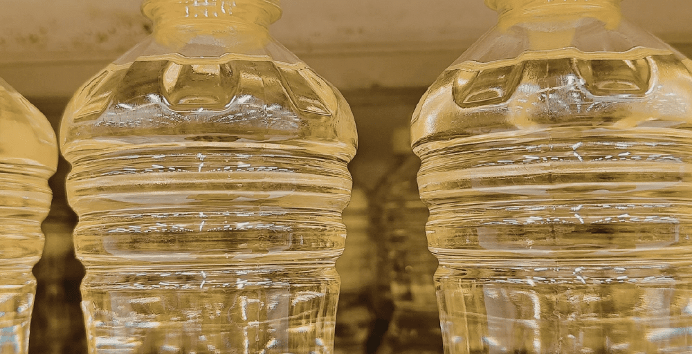 Экспорт масложировой продукции Казахстана вырос в 4 раза 