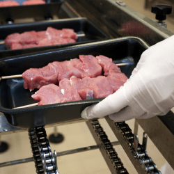 В области Абай запускают крупнейший мясоперерабатывающий комплекс Казахстана