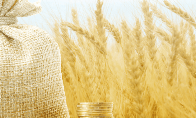Экспортерам сельхозпродукции сохранят полный возврат НДС