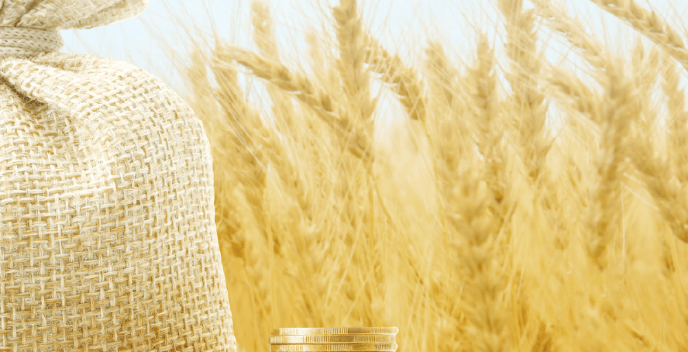 Экспортерам сельхозпродукции сохранят полный возврат НДС