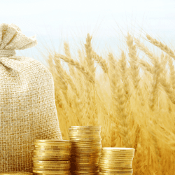 Экспортерам сельхозпродукции сохранят полный возврат НДС