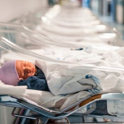 В Казахстане снижается рождаемость и уменьшается размер семей
