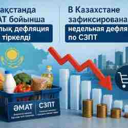 Қазақстанда әлеуметтік маңызы бар азық-түлік тауарларының бағасы бір аптада төмендеді