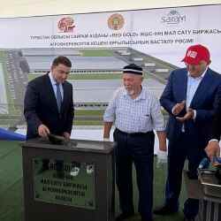 В Туркестанской области построят скотную биржу за 5,2 млрд тенге