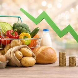 В августе цены на социальные продукты снизились