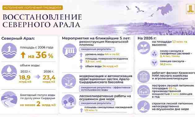 Казахстан усиливает меры по восстановлению Арала и сохранению Каспия